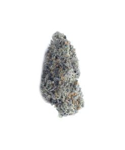 buy sherbet quake online