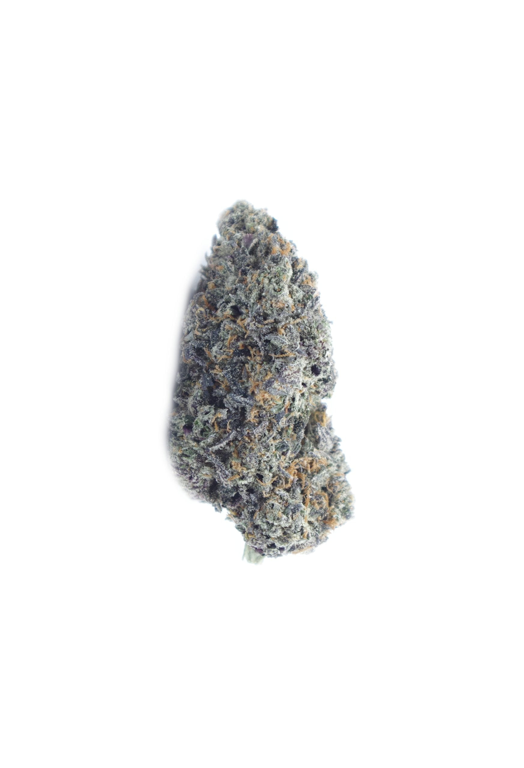 sherb quake bud scaled Sherbet Quake Oz Special