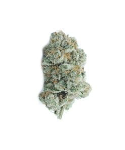 buy white runtz online