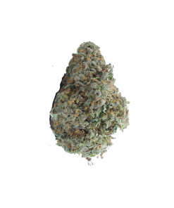buy nuken online