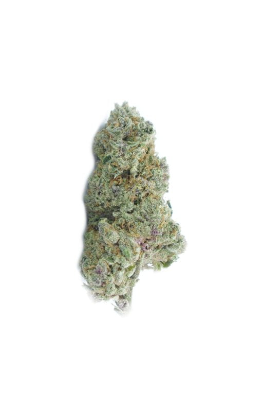 Astro Pop bud 510x770 1 Astro Pop Oz Special