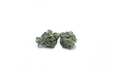 el jefe zoom El Jefe Smalls Oz Special