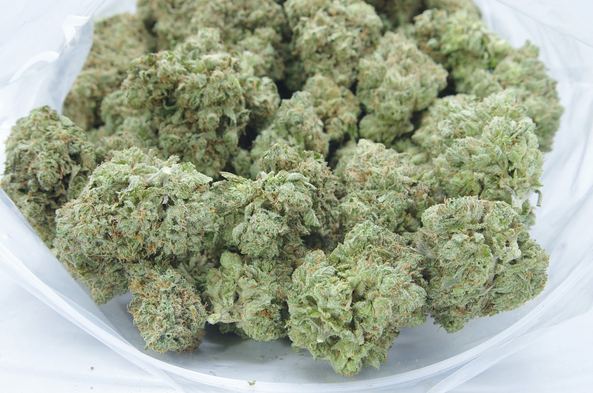 mango haze bag Mango Haze