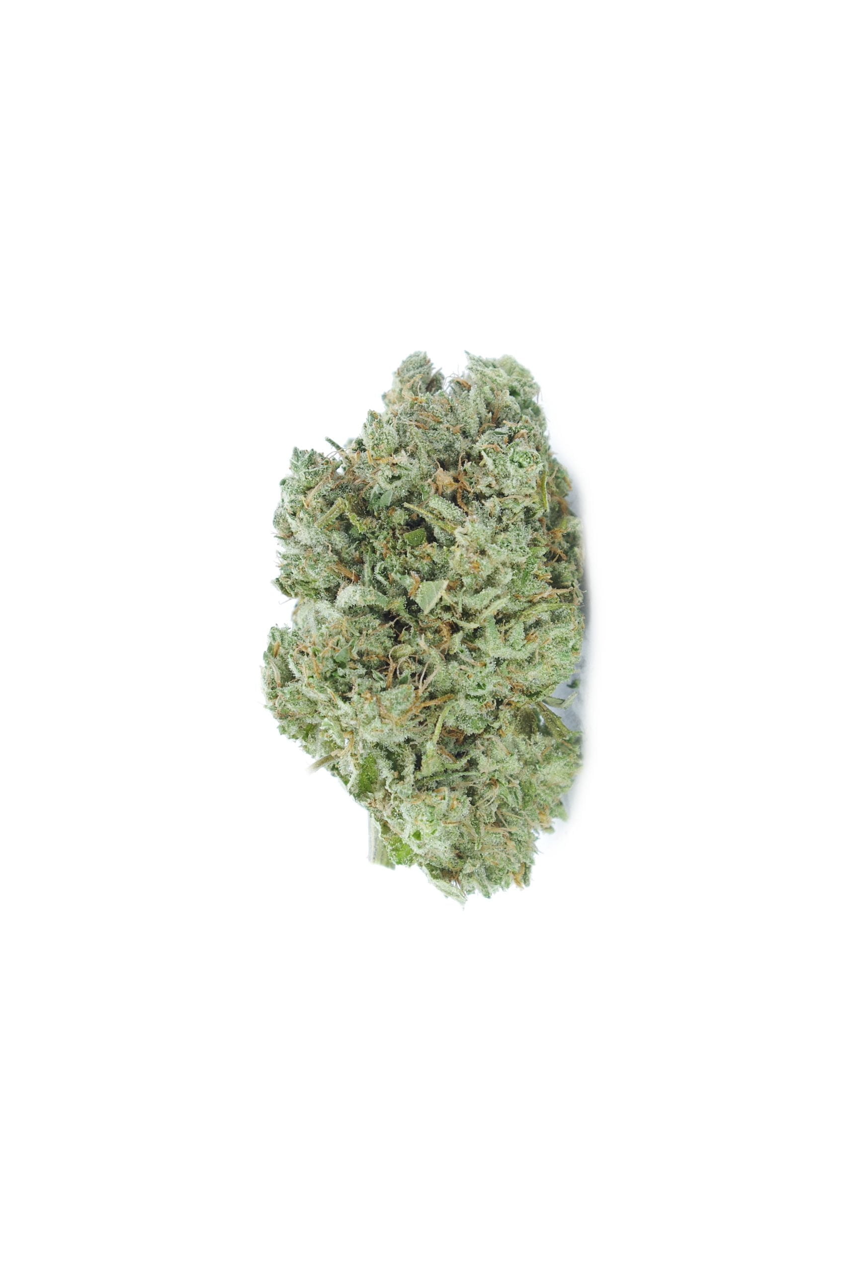 mango haze bud scaled Mango Haze