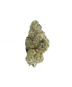 buy biscotti online