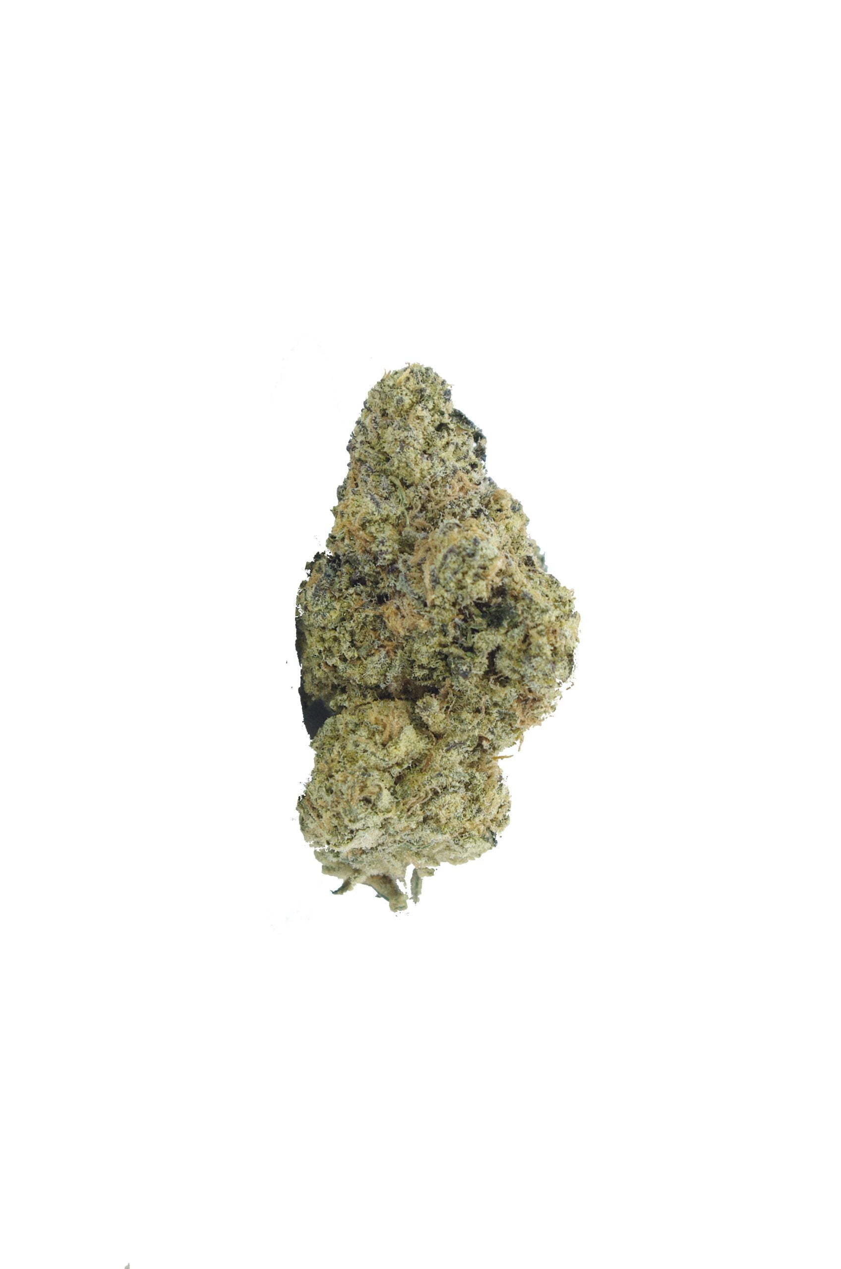 Biscotti bud scaled Biscotti (Oz Special)