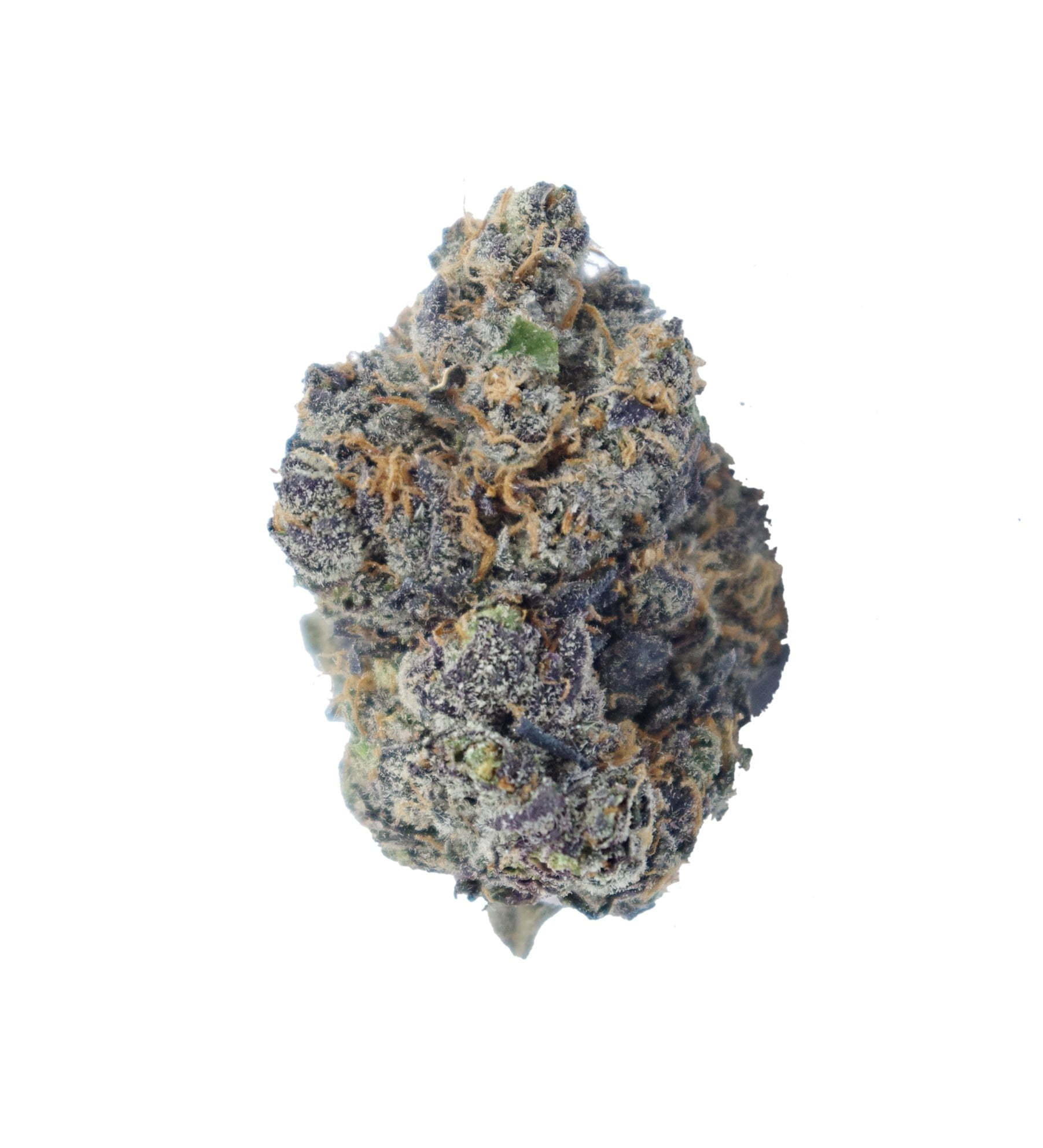 Buckin Runts 1 Buckin Runtz (Oz Special)