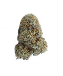 buy gorilla bomb