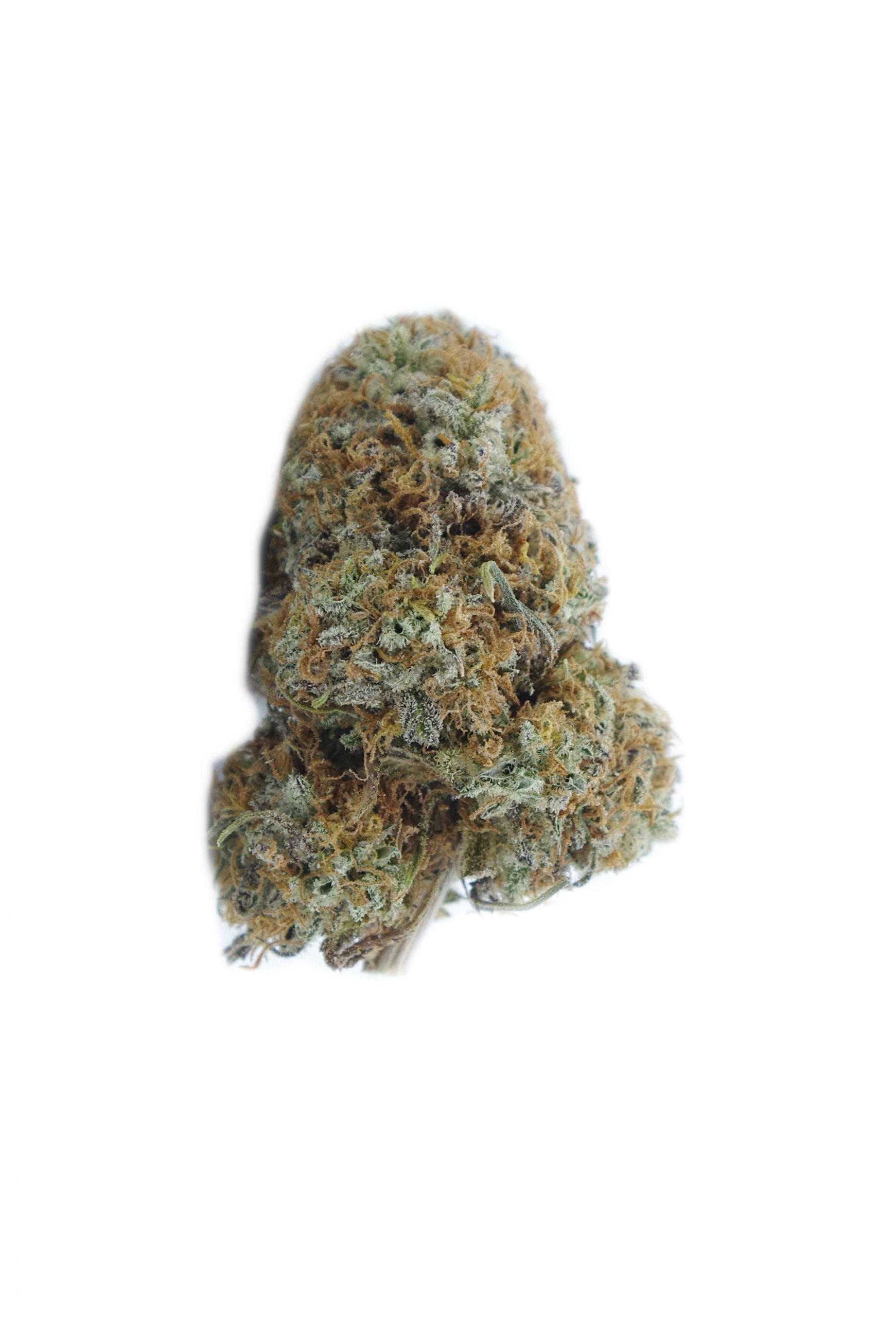 Gorilla Bomb Bud scaled Gorilla Bomb (Oz Special)