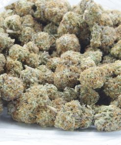Gorilla Bomb bagk buy gorilla bomb
