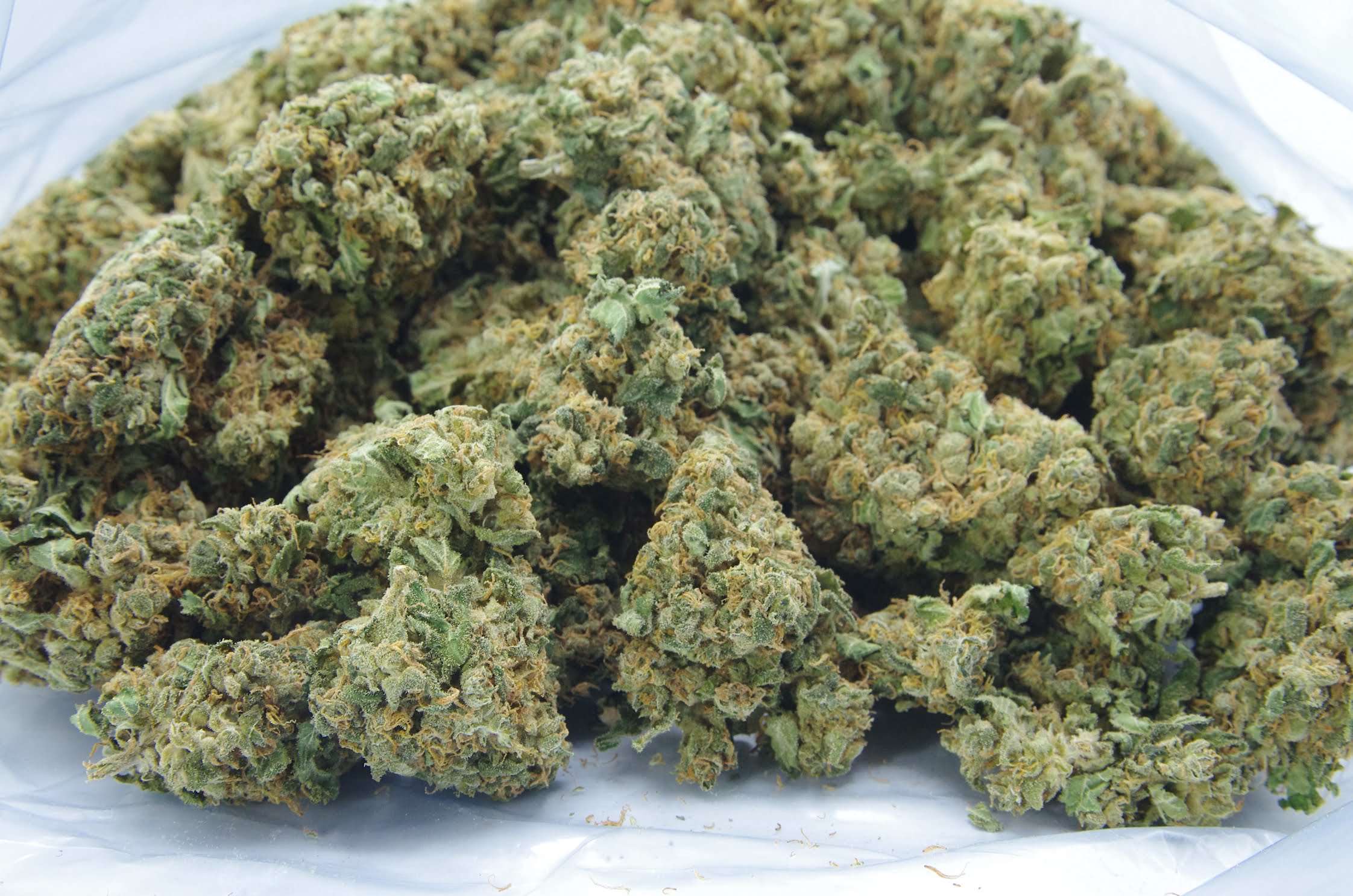Love potion bag MacFlurry (Oz Special)