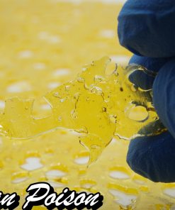 buy terpstar shatter online