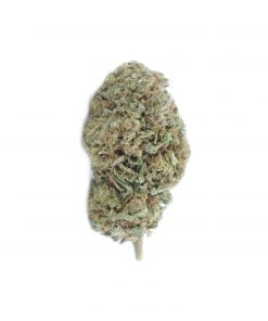 buy hawaiian snow