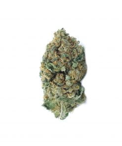 buy love potion online