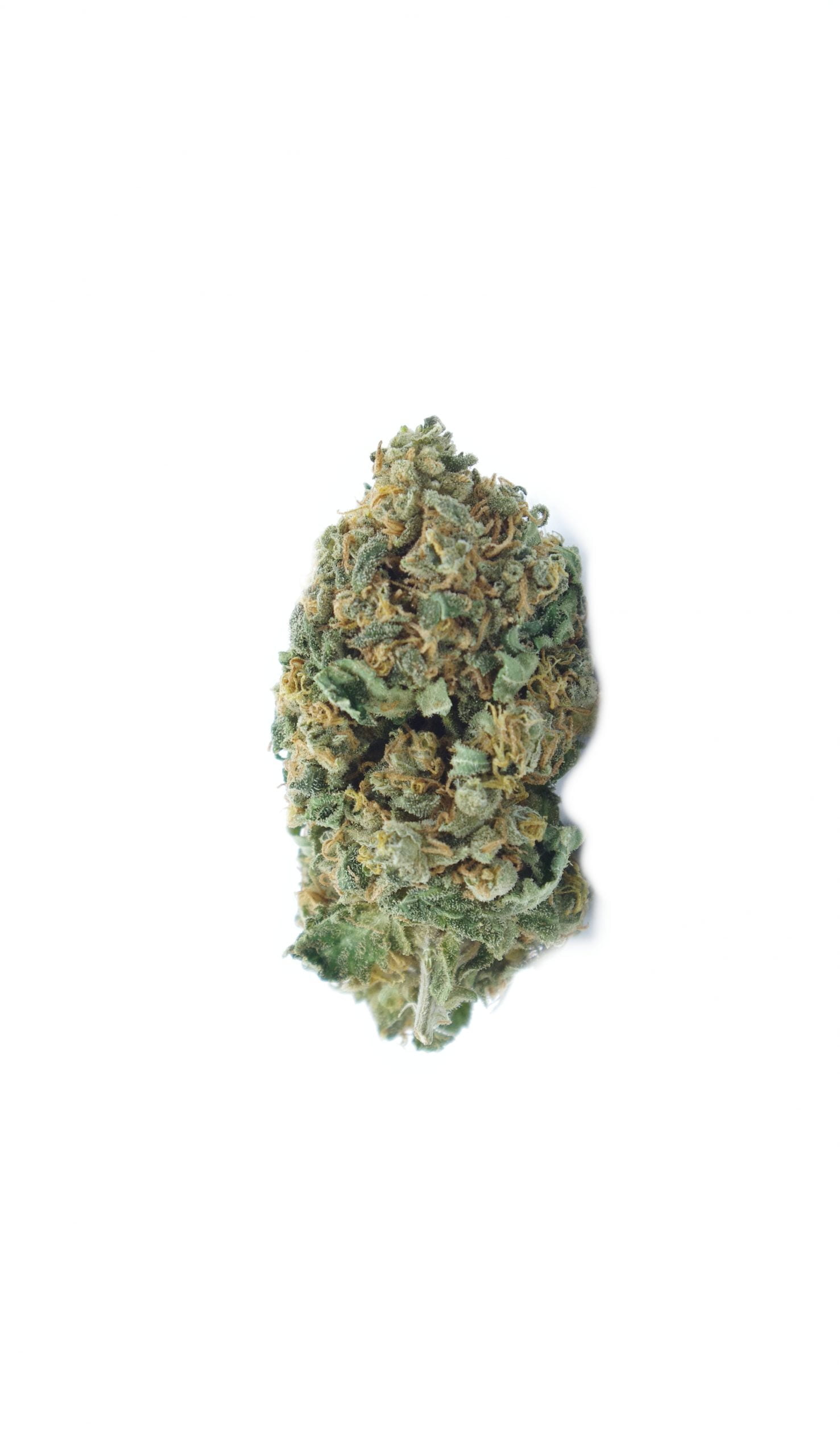 love potion bud scaled MacFlurry (Oz Special)