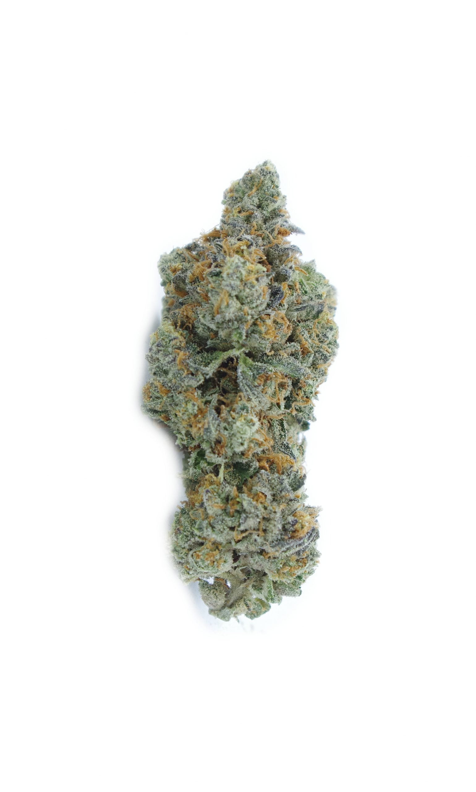 rainbow runtz bud scaled Rainbow Runtz Grams