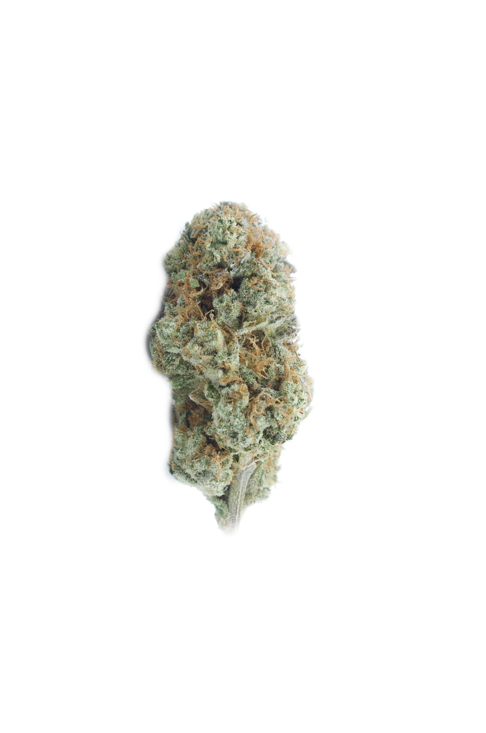 slurries bud scaled Slurries LSO (Oz Special)