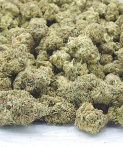 wifi og bag wifi og bag