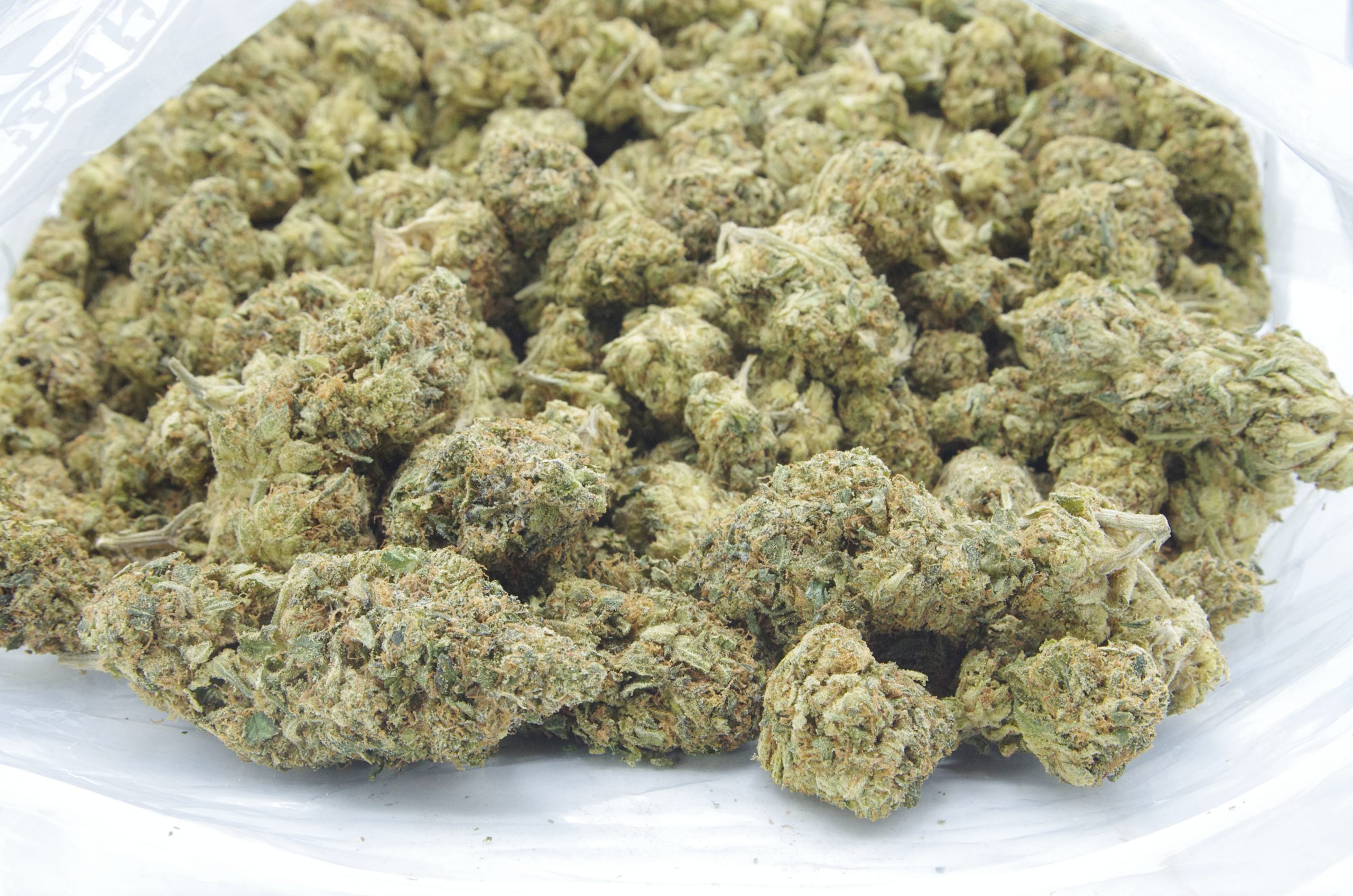 wifi og bag scaled WiFi OG (Oz Special)