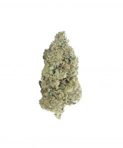 buy wifi og online