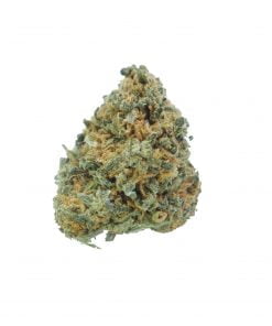 buy tangie online