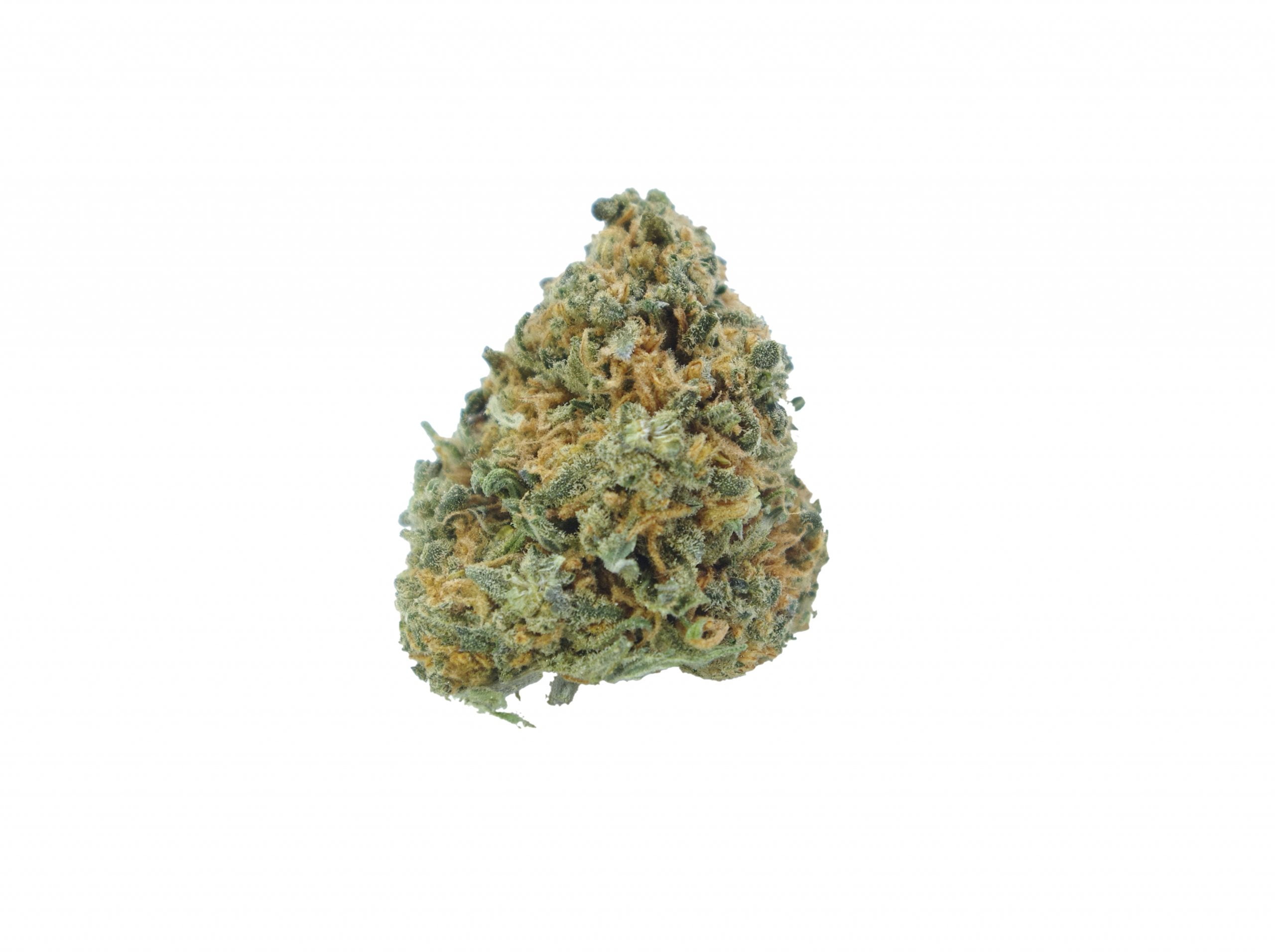 Tangie bud scaled Tangie (Oz Special)