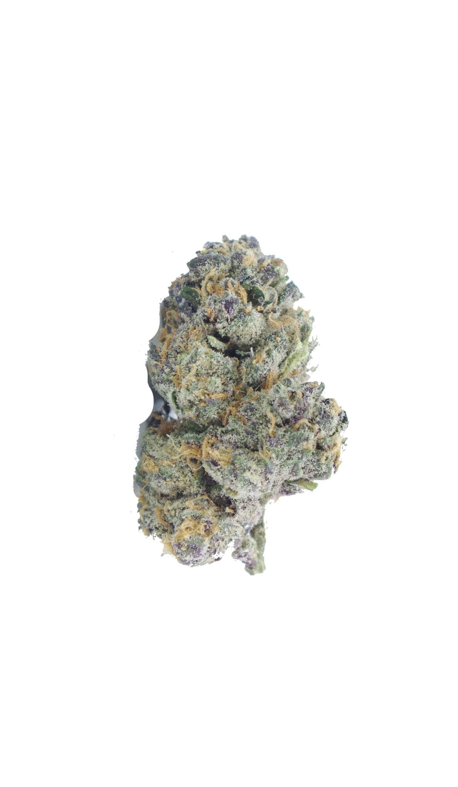 la kush cake bud scaled LA Kush Cake (Oz Special)