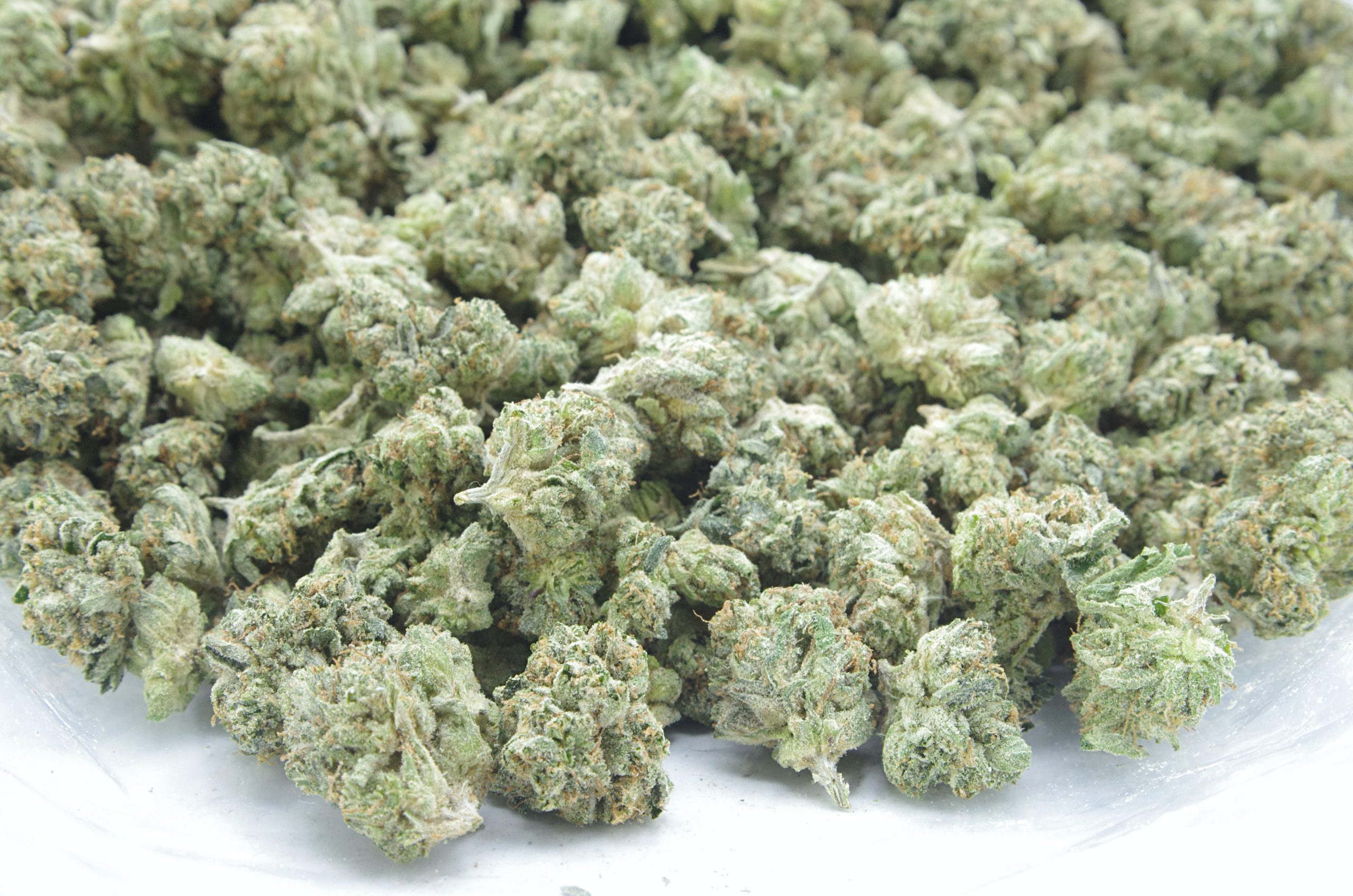 mku bag scaled MKU Mids Oz Special