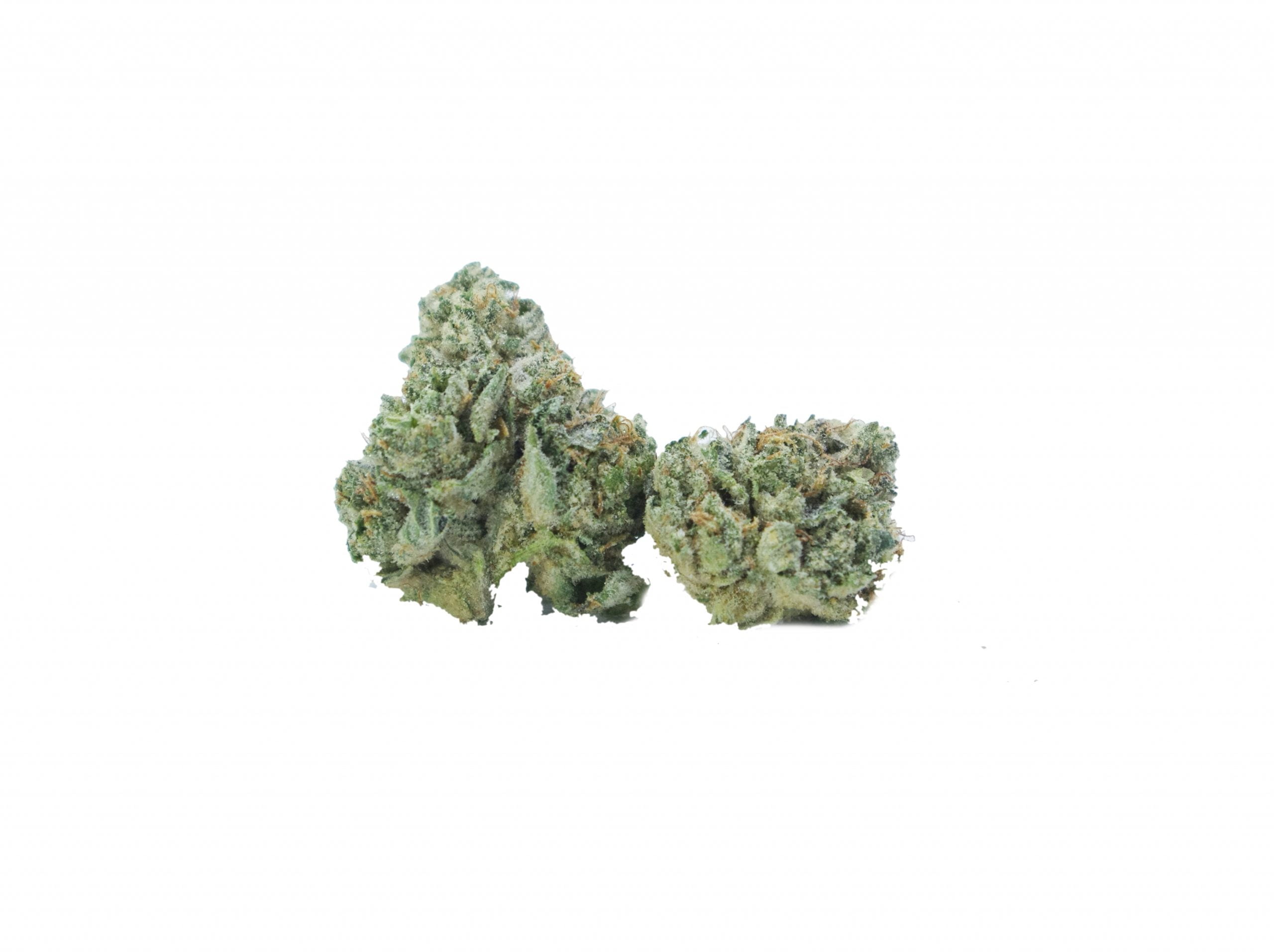 mku mids bud scaled MKU Mids Oz Special