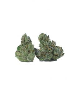 buy all gas og