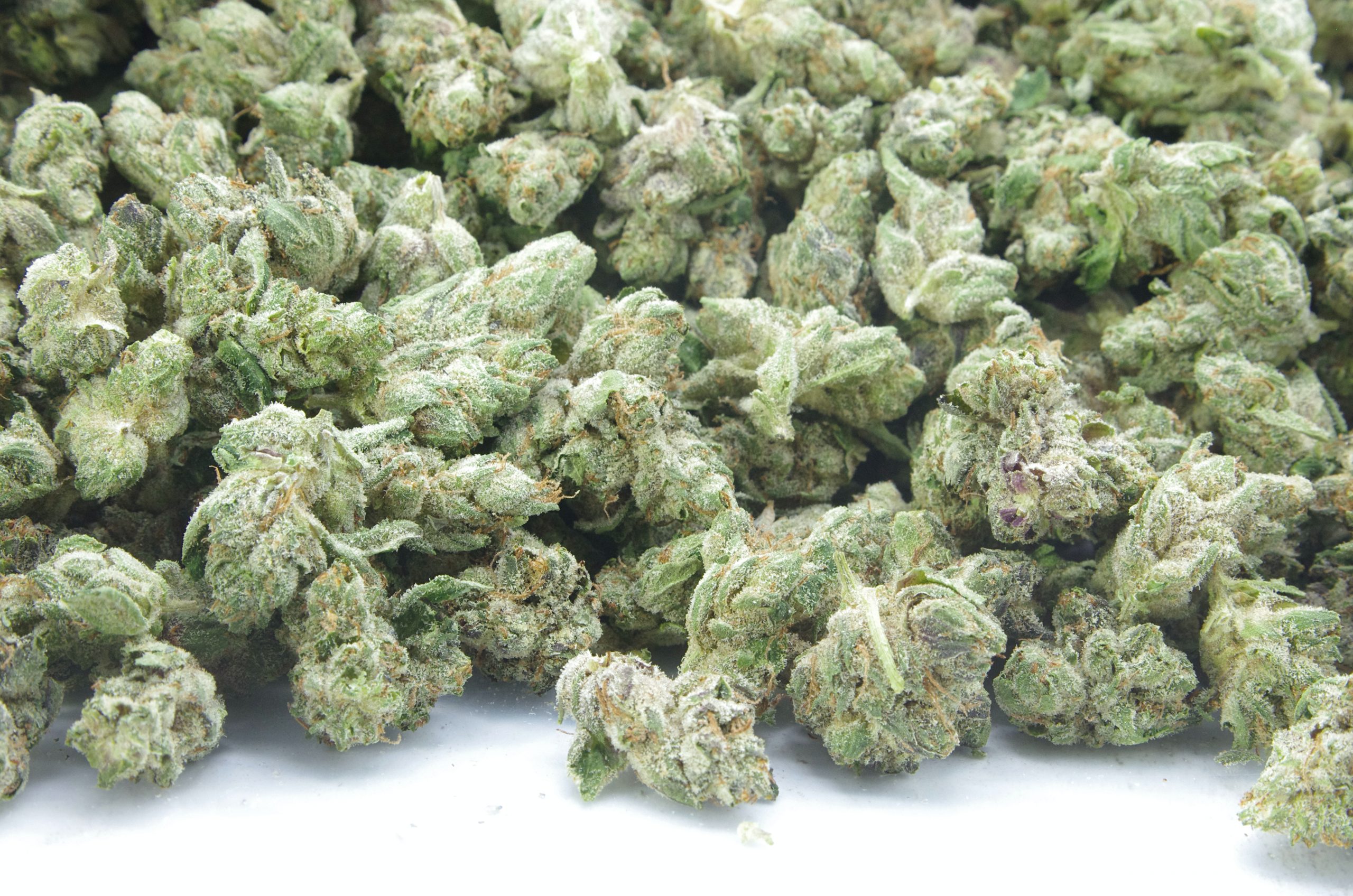 All gas og bag scaled All Gas OG Mids Oz Special