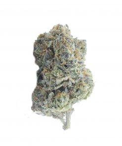 buy jet fuel gelato online