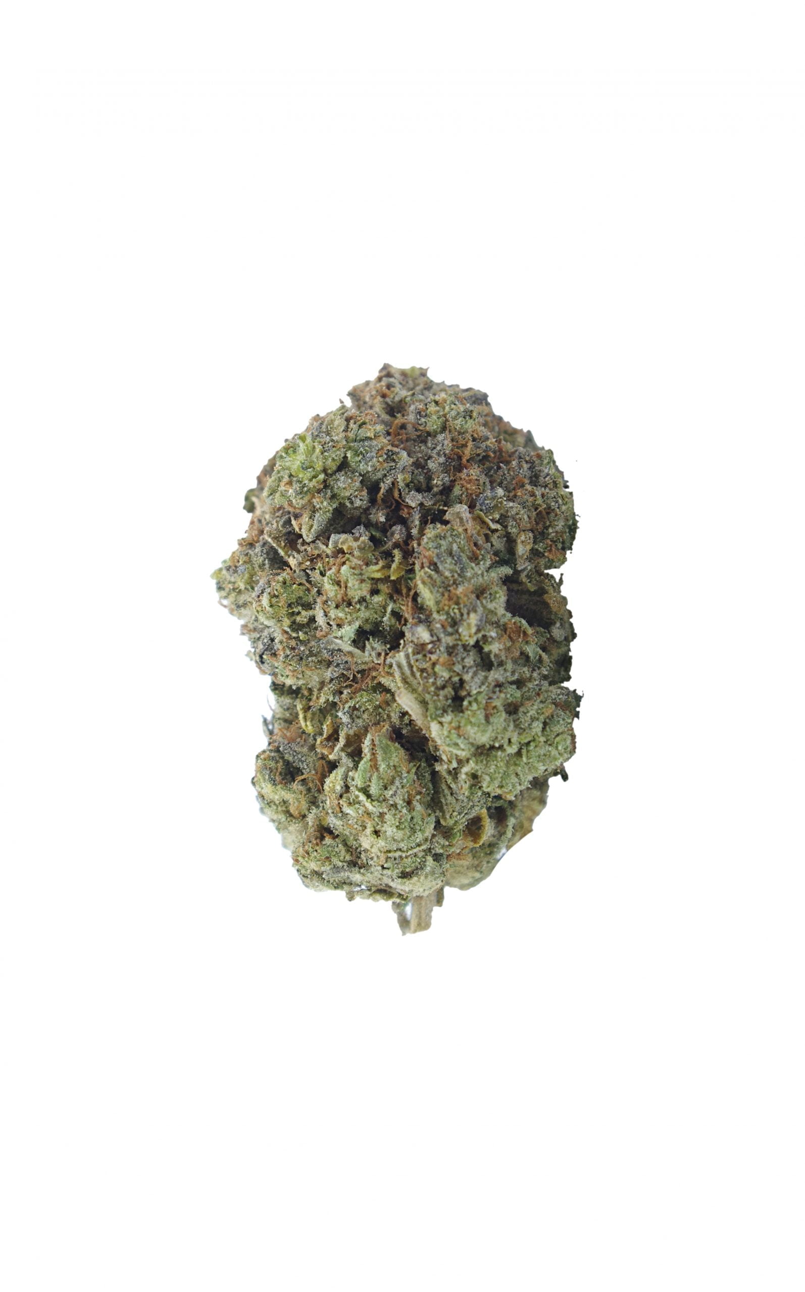 King louis bud scaled King Louis Oz Special