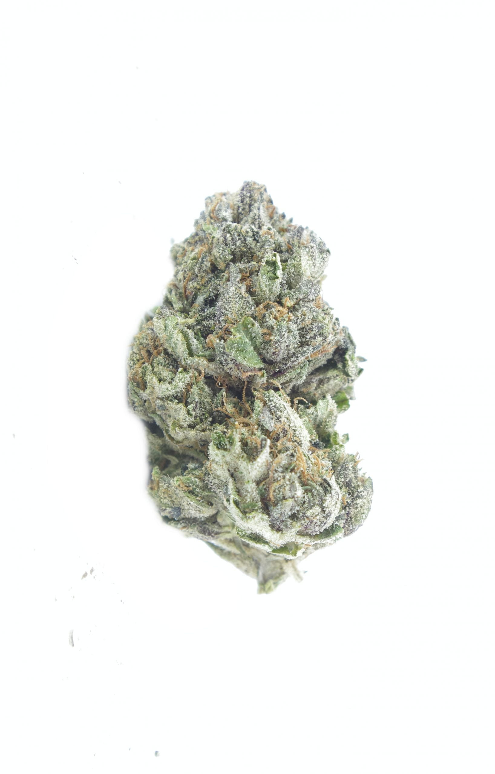 Pink death bud scaled Pink Death Oz Special