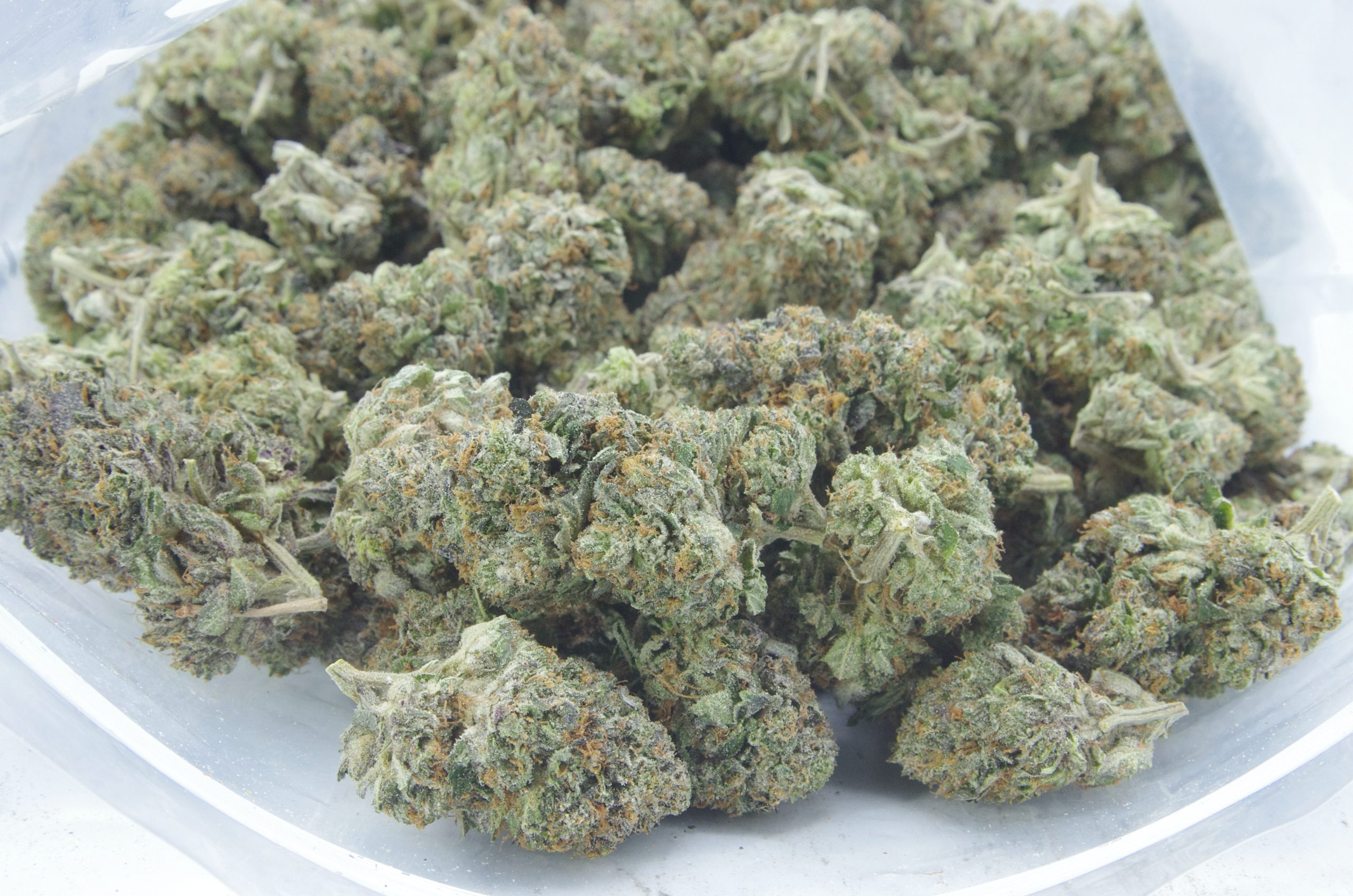 Pre98 Bubba bag scaled Pre-98 Bubba Oz Special