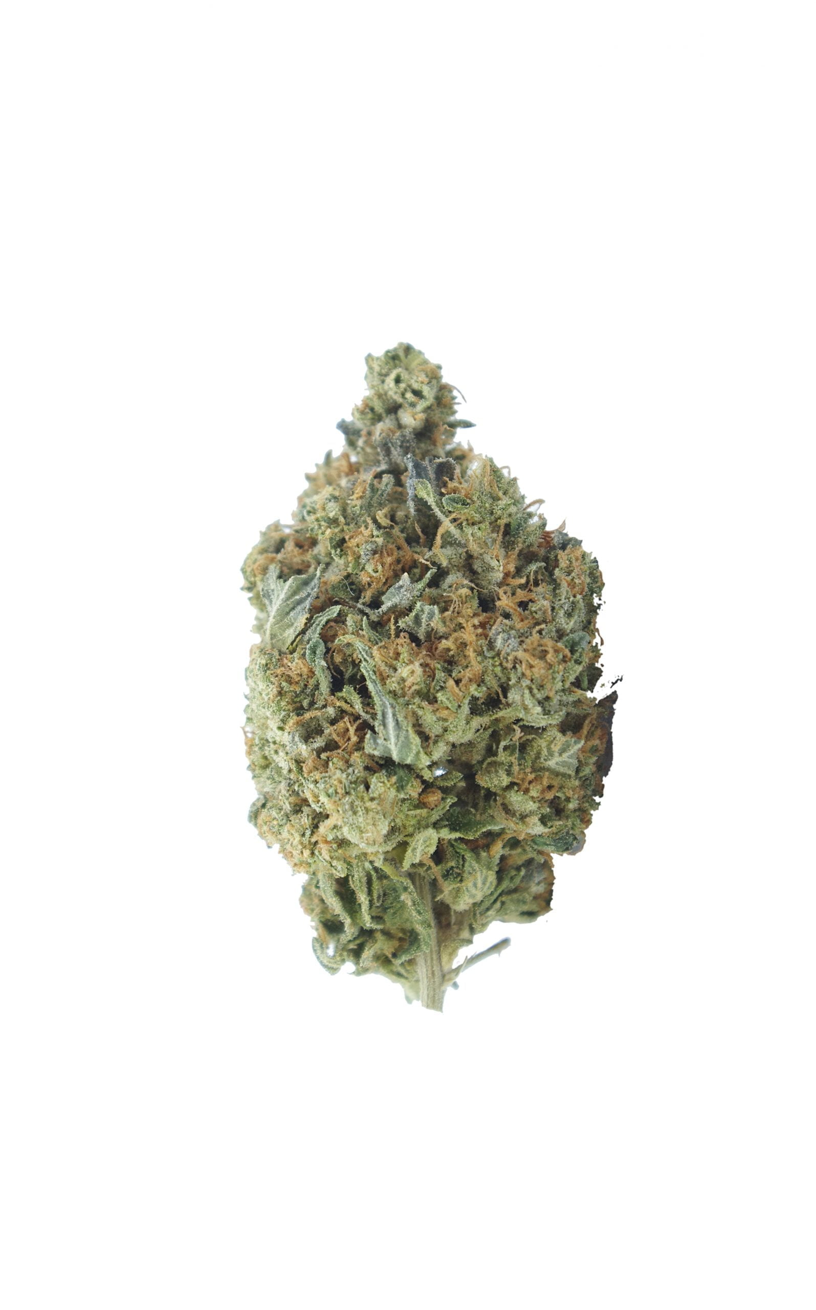 White Rhino bud scaled White Rhino Oz Special