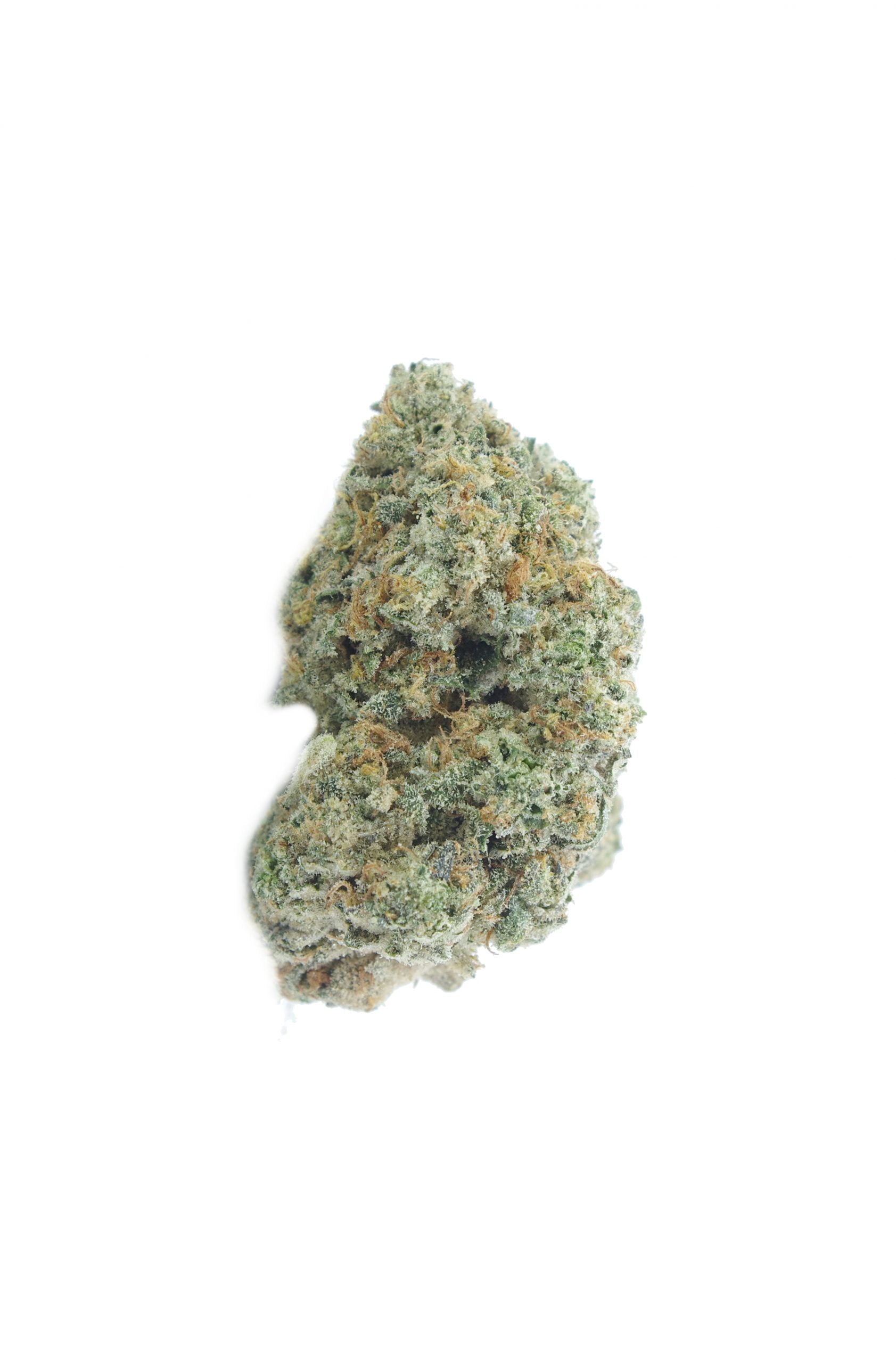 Zachs pie bud scaled Zack's Pie (Oz Special)