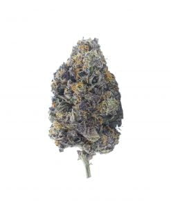 buy animal cookies online