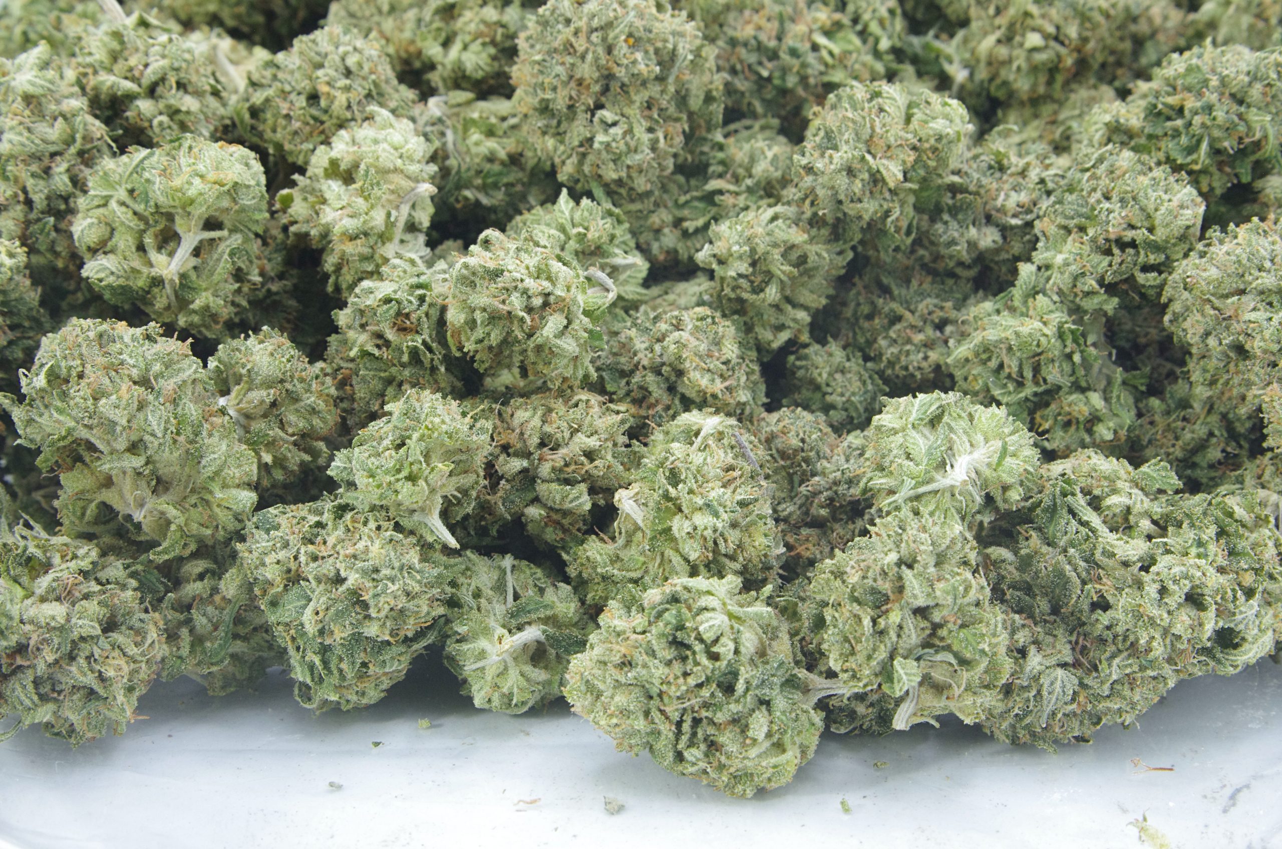 black bubba bag scaled Black Bubba Oz Special