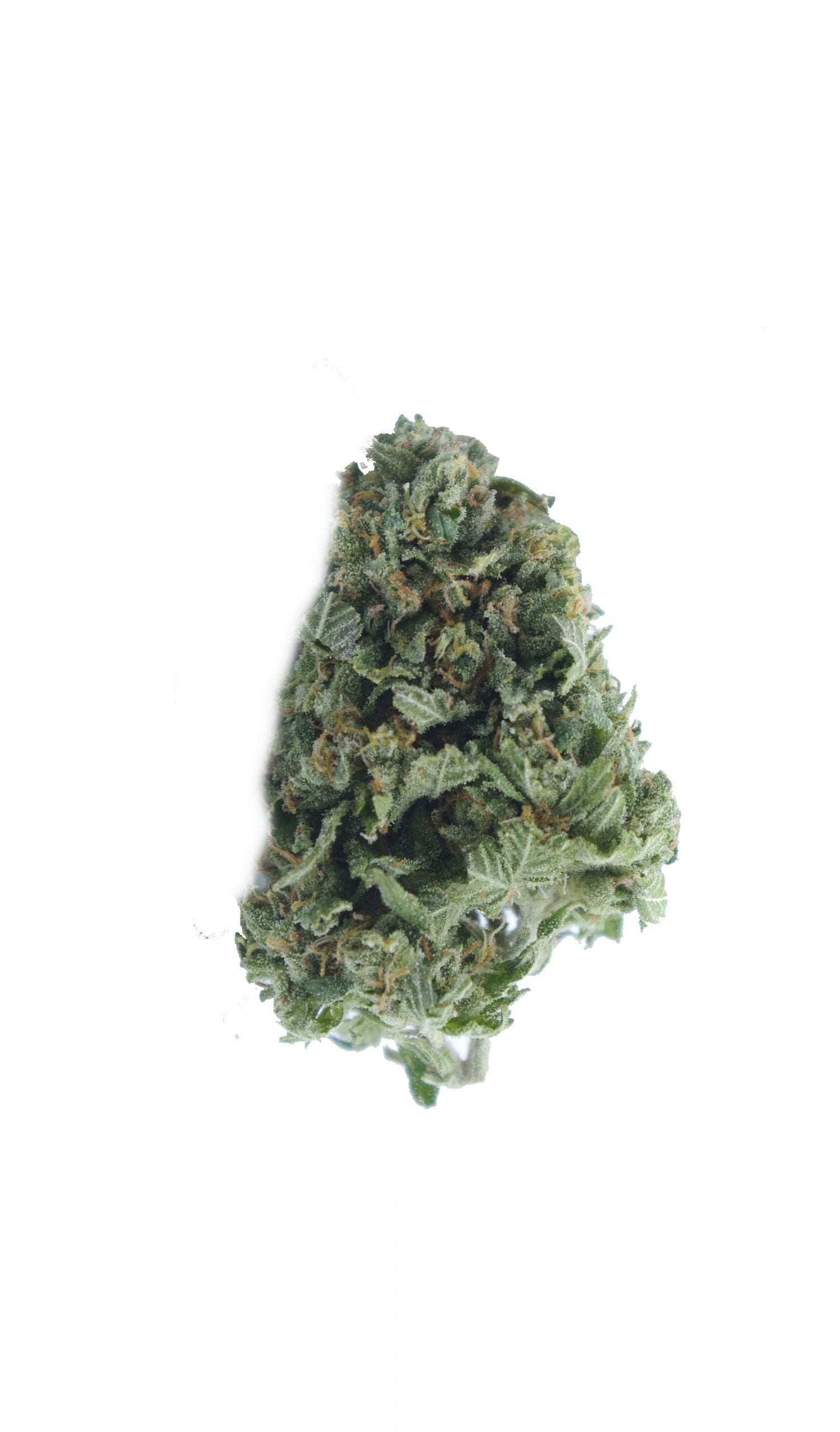 black bubba bud scaled Black Bubba Oz Special