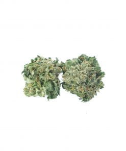 buy comatose mids online