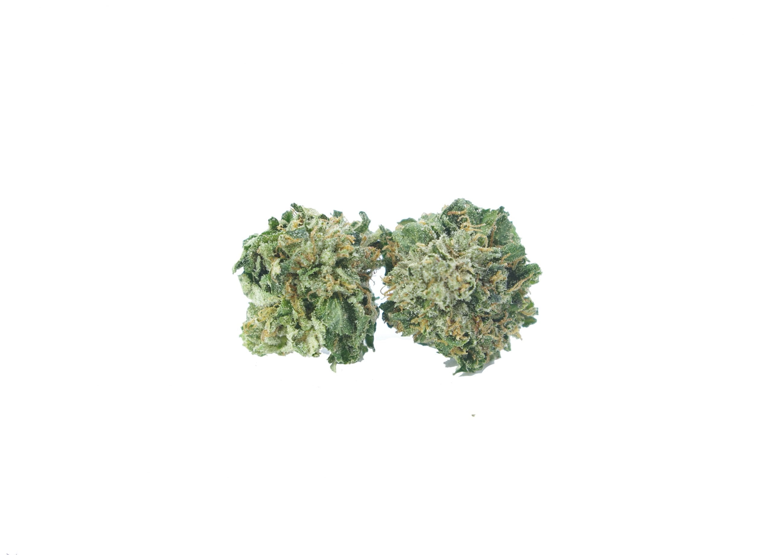 comatose mids buds scaled Comatose Mids Oz Special