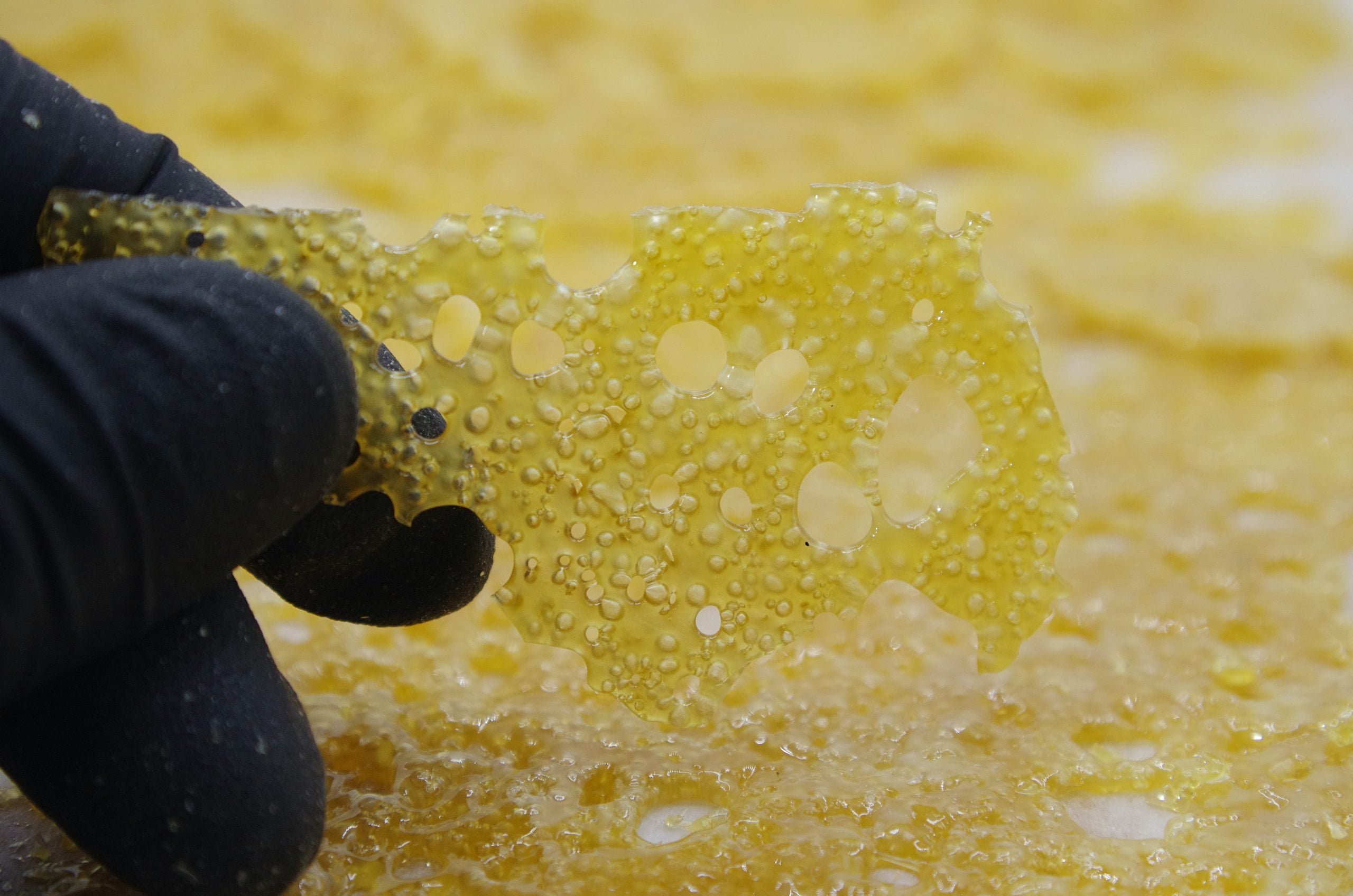 congo shatter glove scaled Congo Shatter