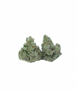 buy gas mask smalls online