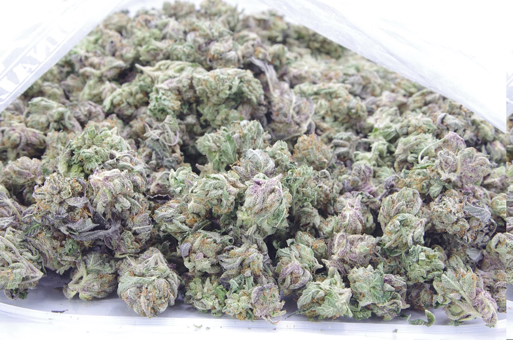 gas mask smalls bag Gas Mask Smalls Oz Special