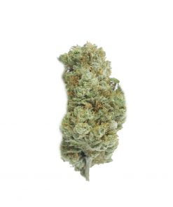 buy jet fuel runtz online