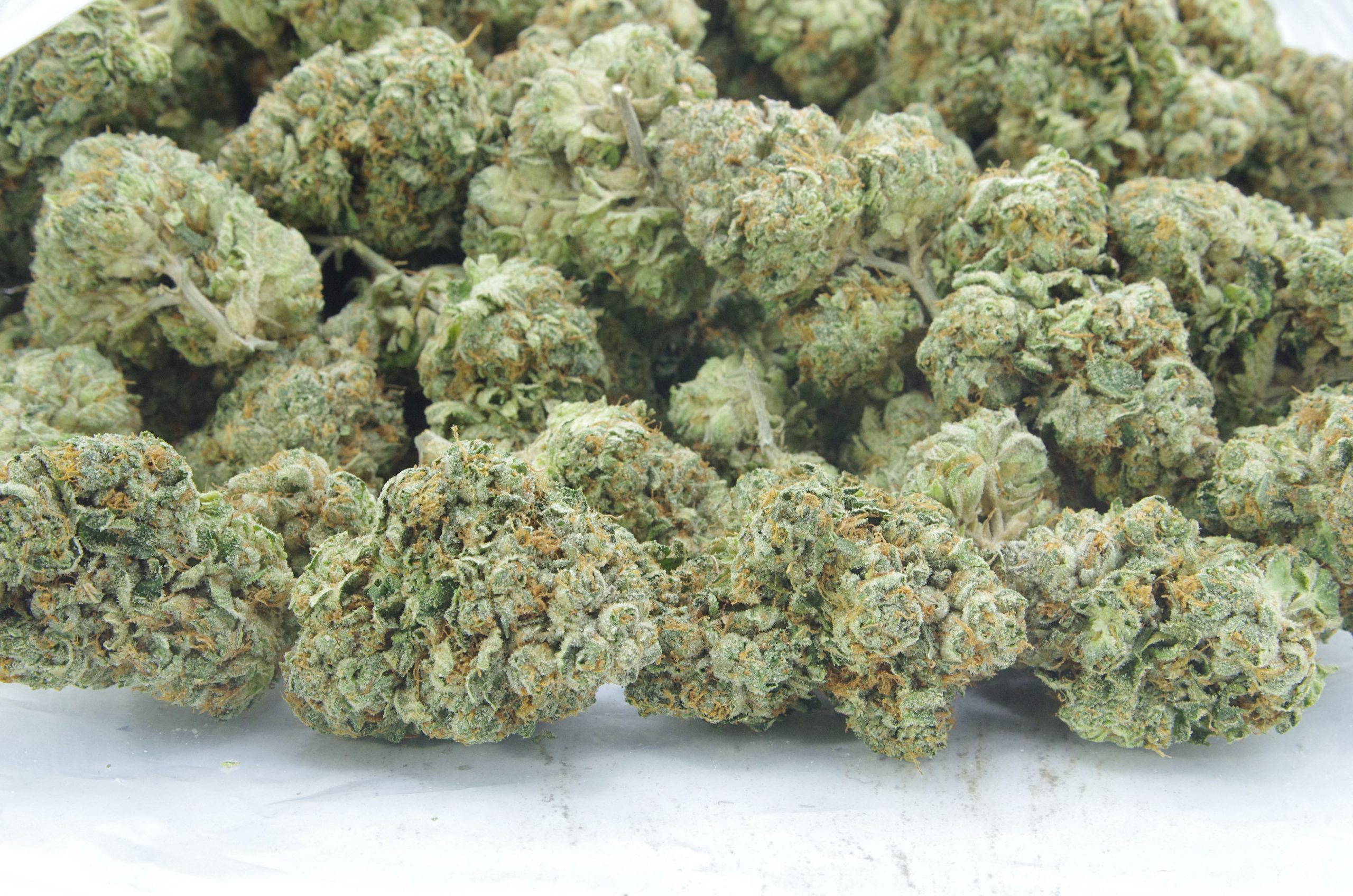 la gas bag scaled LA Gas Smalls (Oz Special)