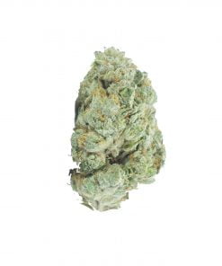 buy la gas online