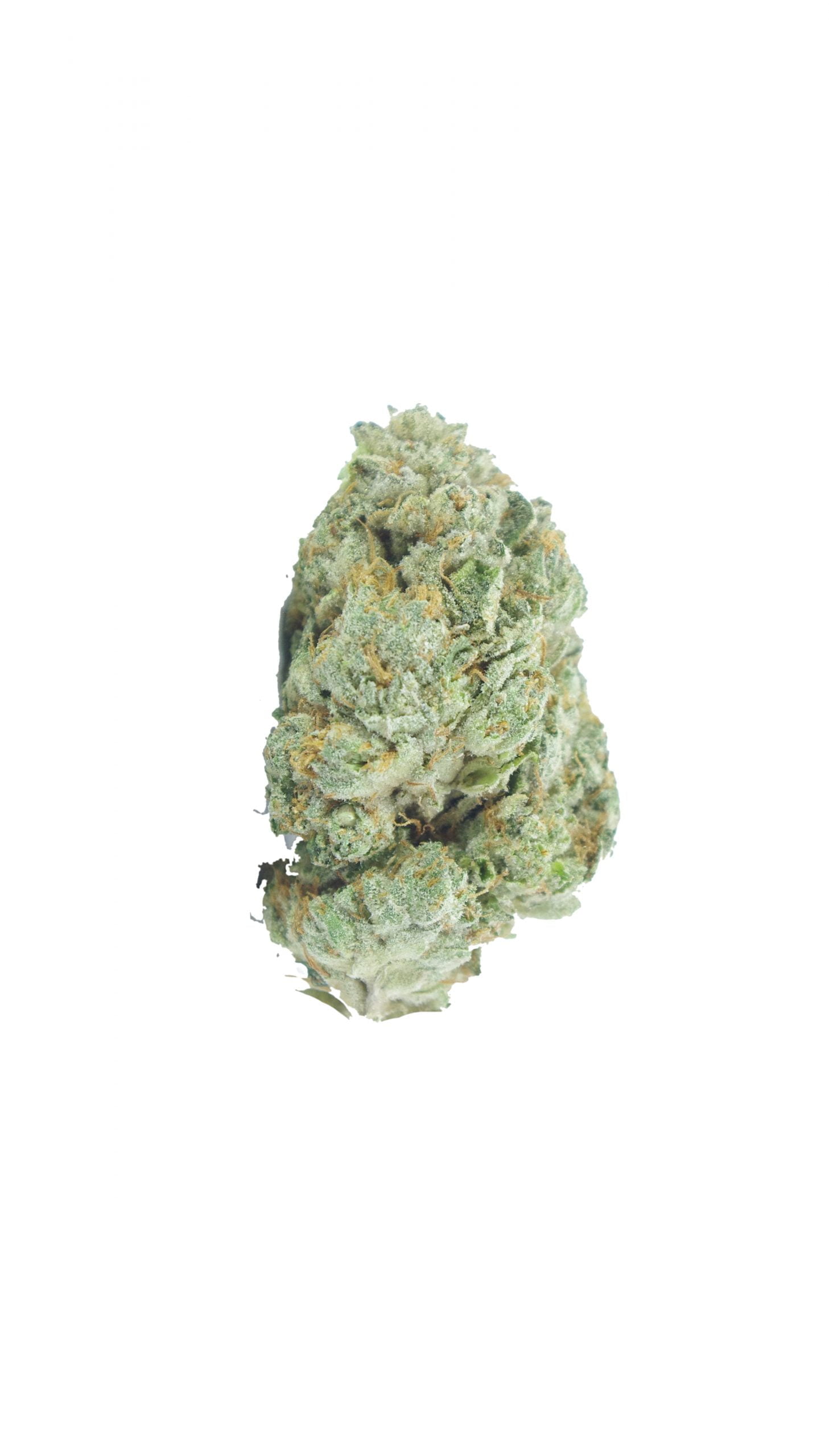 la gas bud 2 scaled LA Gas Smalls (Oz Special)