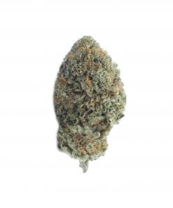 buy lemon biscotti online